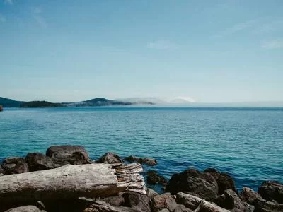 个性风格