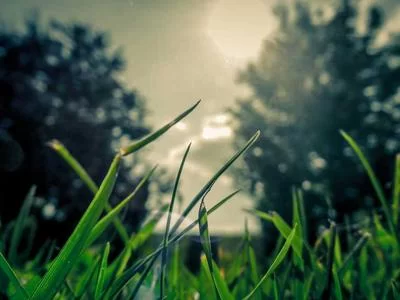 分享展示